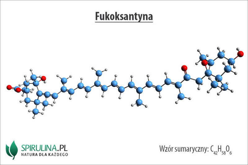 Fukoksantyna Algi Spirulina I Chlorella