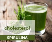 spirulina cholesterol