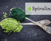 Spirulina morska a slodkowodna podobienstwa i roznice