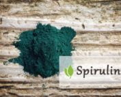 Spirulina a rak