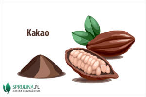kakao