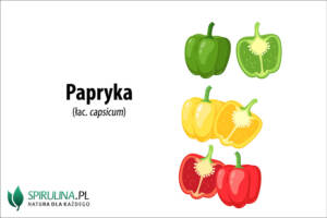 Papryka