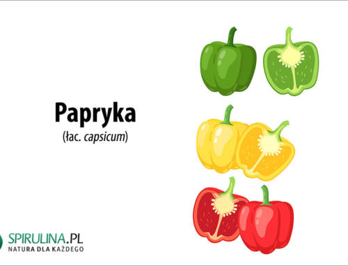 Papryka