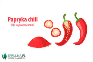 Papryka chili