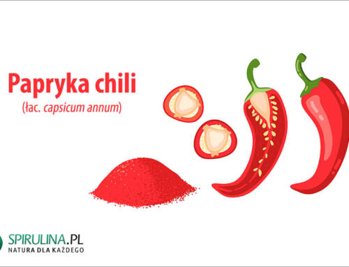 Papryka chili