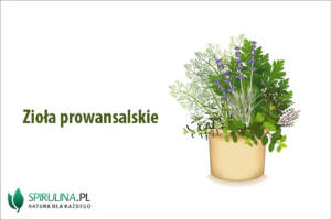 Zioła prowansalskie