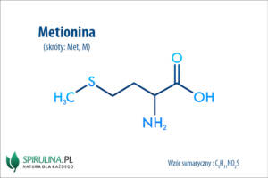 Metionina