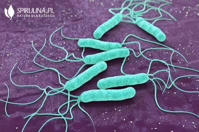 Helicobacter pylori ассоциированное заболевание показания и схемы антихеликобактерной терапии