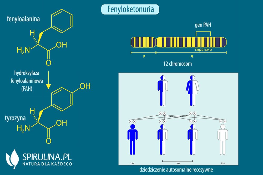 Fenyloketonuria Algi Spirulina I Chlorella