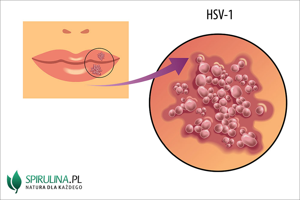 HSV Algi Spirulina I Chlorella