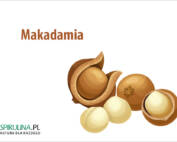 Makadamia