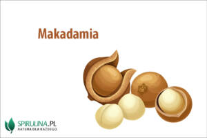 Makadamia