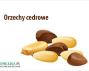 Orzechy cedrowe