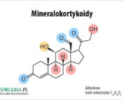 Mineralokortykoidy