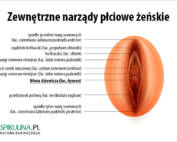 Błona dziewicza