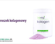 Proszek kolagenowy