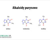 Alkaloidy purynowe