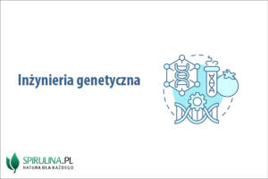 Inżynieria genetyczna