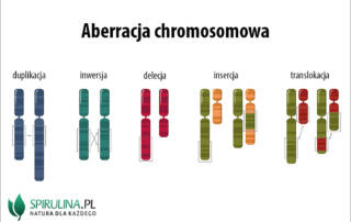 Aberracja chromosomowa