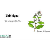 chinidyna