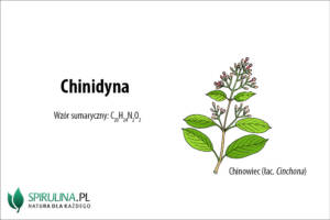 chinidyna