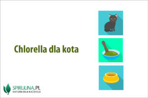 Chlorella dla kota