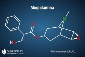 Skopolamina