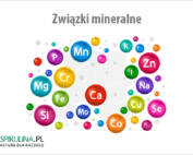 Związki mineralne