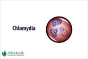 Chlamydia