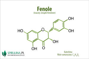 Fenole