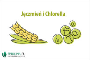 Jęczmień i chlorella