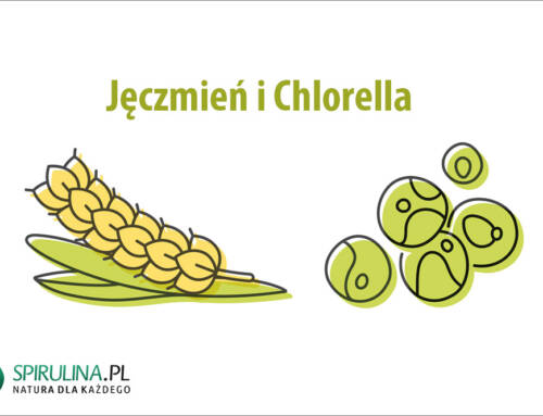 Jęczmień i Chlorella