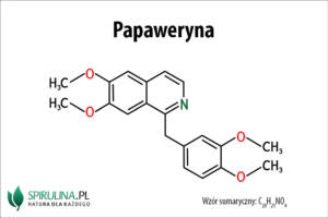 Papweryna