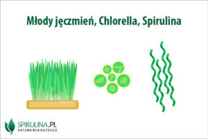 Młody jęczmień, Chlorella, Spirulina