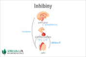 Inhibiny