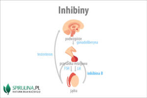 Inhibiny