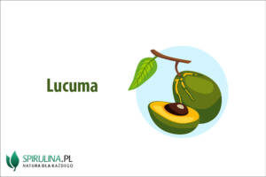 Lucuma