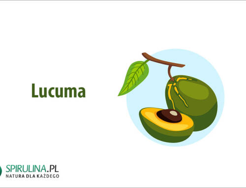 Lucuma