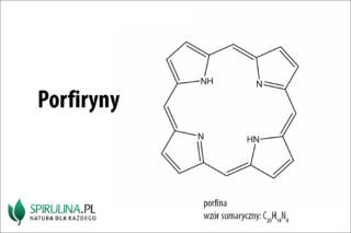 Porfiryny