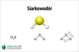 Siarkowodór