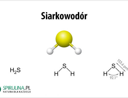 Siarkowodór