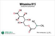 Witamina B15