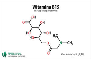 Witamina B15