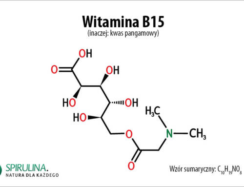 Witamina B15