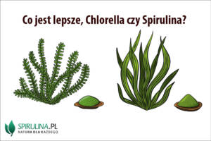 Co jest lepsze, Chlorella czy Spirulina?