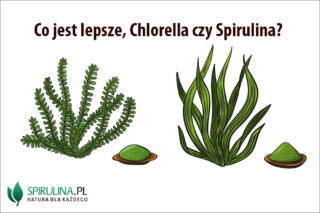 Co jest lepsze, Chlorella czy Spirulina?