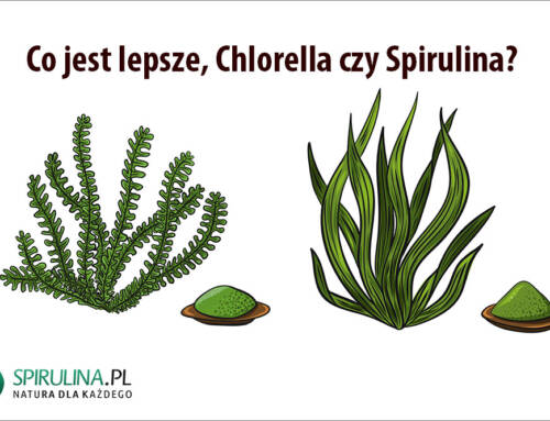 Co jest lepsze, Chlorella czy Spirulina?