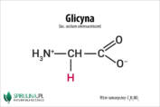 Glicyna