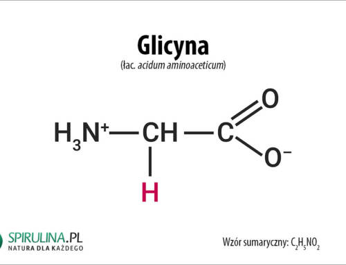 Glicyna