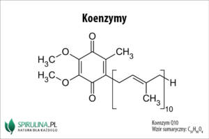 Koenzymy